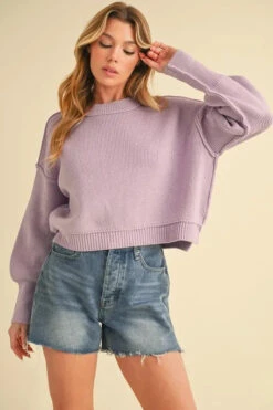 Aemi+Co Ribbed Hem Exposed Seam Round Neck Sweater