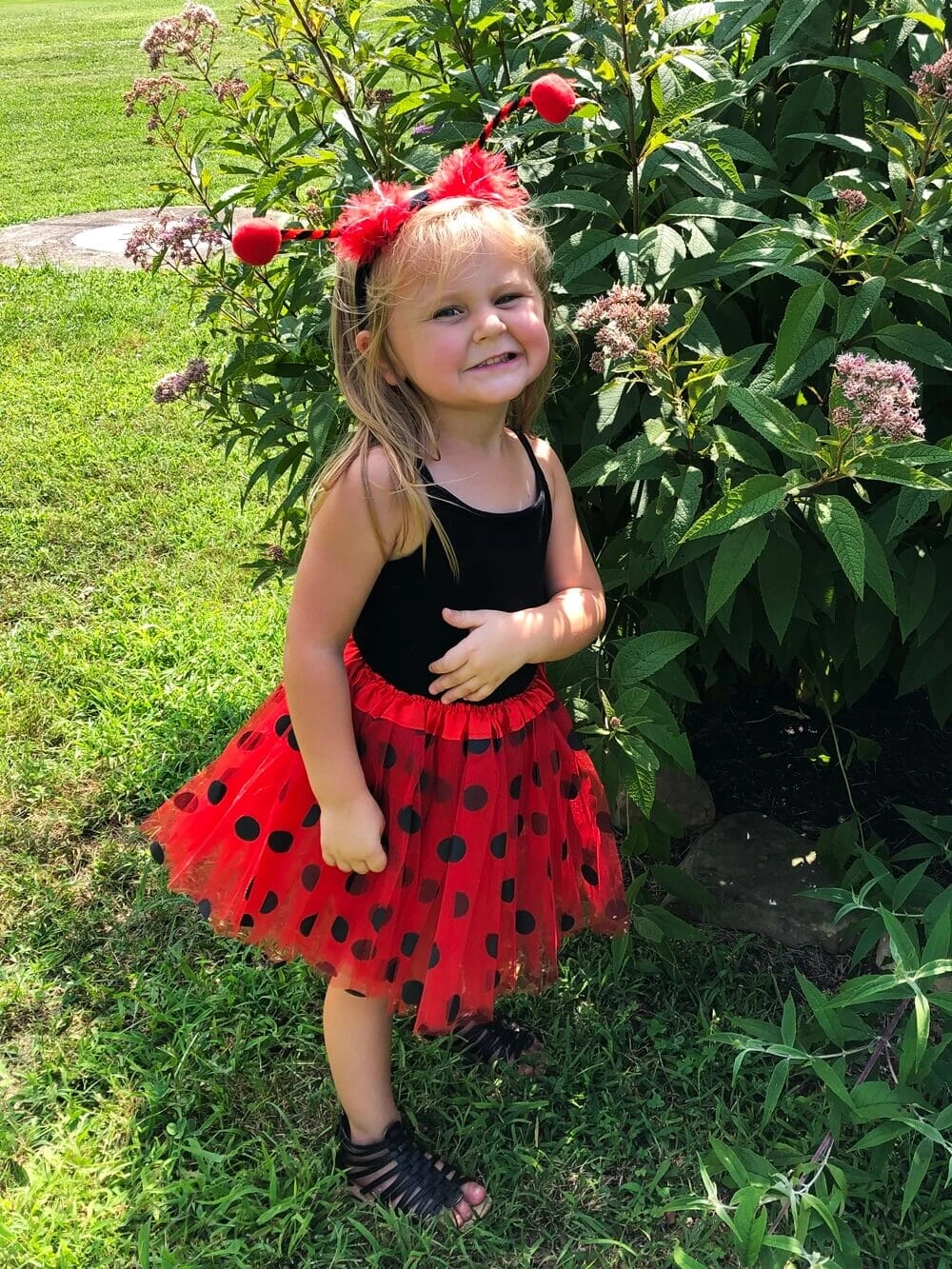 Girls Ladybug Costume - Complete Kids Costume Set With Polka Dot Tutu Skirt & Antenna Headband 5 Girls Ladybug Costume - Complete Kids Costume Set With Polka Dot Tutu Skirt & Antenna Headband - Image 3