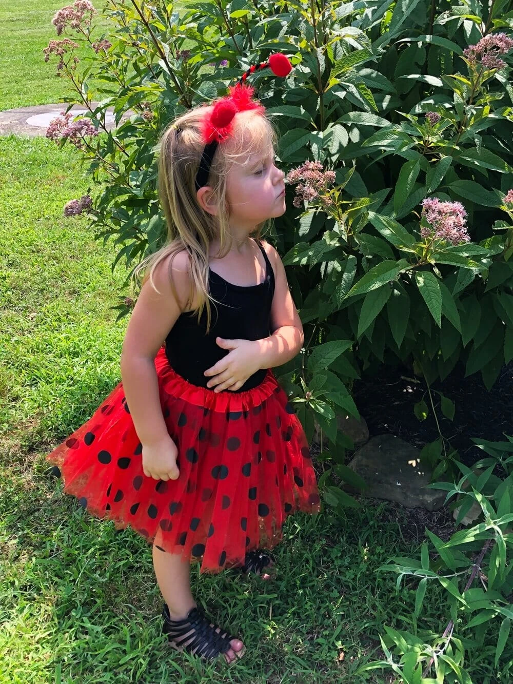 Girls Ladybug Costume - Complete Kids Costume Set With Polka Dot Tutu Skirt & Antenna Headband 3 Girls Ladybug Costume - Complete Kids Costume Set With Polka Dot Tutu Skirt & Antenna Headband
