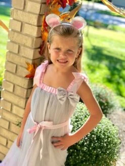 Mouse Costume, Deluxe Girls Or Toddler Chiffon Dress Mouse Halloween Dress Up