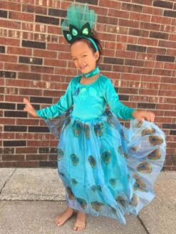 Fancy Peacock Costume Halloween Dress Up For Baby, Toddler, Little Girls