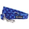 Blue Argyle Preppy Plaid 5' Designer Dog Leash