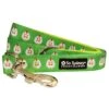 Chickens In A Row Fun And Funky Cute Dog Leash -Little Loom Store ChickenLeashc 1