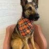 Classic Plaid Halloween Dog Bandana 2 Classic Plaid Halloween Dog Bandana -Little Loom Store ClassicPlaidHalloweenDogBandana