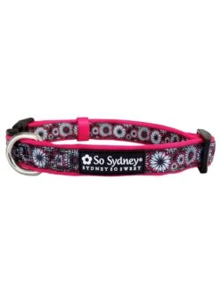 Hot Pink & Black Daisy Floral Fashion Cute Dog Collar