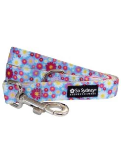Wildflower Daisy Pink & Blue 5' Cute & Bright Dog Leash