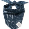 Dog Bandana - Midnight Blue Fireworks -Little Loom Store DogBandana MidnightBlueFireworks