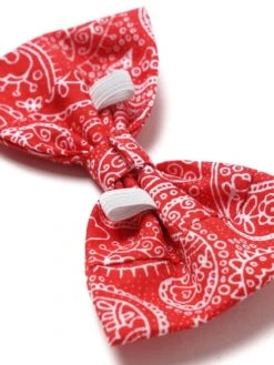 Dog Bow Tie - Rodeo Red -Little Loom Store DogBowTie2 RodeoRed
