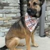 Fall Plaid Classic Dog Bandana -Little Loom Store FallPlaidClassicDogBandana2