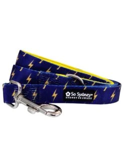 Front Page 17 Flash Lightning Navy Blue & Yellow Fashion Dog Leash