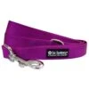 Grape Purple 5' Nylon Dog Leash For Small, Medium, Or Large Dogs 2 Grape Purple 5' Nylon Dog Leash For Small, Medium, Or Large Dogs -Little Loom Store GrapeLeashc 1