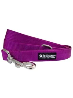 Grape Purple 5' Nylon Dog Leash For Small, Medium, Or Large Dogs