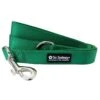 Green 5' Nylon Dog Leash For Small, Medium, Or Large Dogs -Little Loom Store GreenLeashc 1