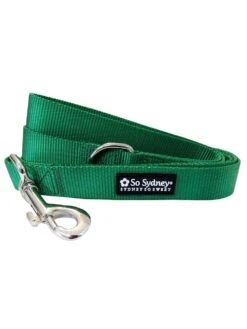 Green 5' Nylon Dog Leash For Small, Medium, Or Large Dogs