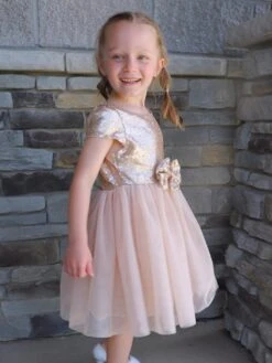 Golden Sequin Bow Tulle Fancy Or Special Occasion Girls Tutu Dress -Little Loom Store HadleyGoldSequinDress2