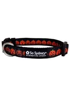 Jack-O-Lantern Halloween Pumpkin Orange & Black Dog Collar