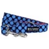 Red & Blue Jumbo Polka Dots Bright & Fun Dog Leash