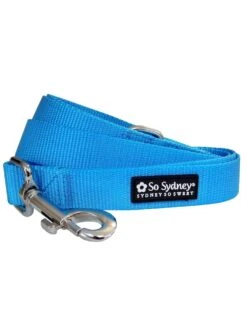 Front Page 11 Light Blue Nylon Dog Leash For Small, Medium, Or Large Dogs