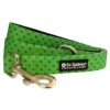 Lime Green & Navy Polka Dots Designer Dog Leash -Little Loom Store LimeNavyPolkaLeashc 1