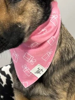 Dog Bandana - Dog Birthday Bandana Gifted Pink -Little Loom Store LunaGiftedPink2s