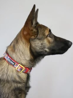 Superhero Blue Red Yellow Comfy, Adjustable Fashion Dog Collar -Little Loom Store LunainSuperHeroCollars 1