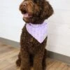 Dog Bandana - Lavender Easter Peep -Little Loom Store MackPeeps2
