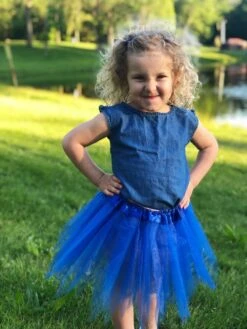 Royal Blue Fairy Costume Pixie Tutu Skirt For Kids, Adults, Plus
