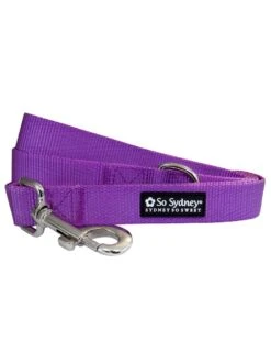 Front Page 5 Purple 5' Fashion Basic Nylon Dog Leash For Small, Medium, Or Large Dogs