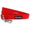 Red Fashion Basic Nylon Dog Leash For Small, Medium, Or Large Dogs -Little Loom Store RedLeashc 1