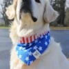 Dog Bandana - Patriotic American Flag Reversible -Little Loom Store RookieAmericanFlag3