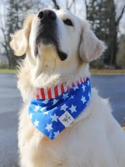 Dog Bandana - Patriotic American Flag Reversible