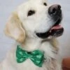 Dog Bow Tie - Shamrock Green 1 Dog Bow Tie - Shamrock Green -Little Loom Store RookieShamrockBowTie