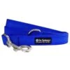 Royal Blue 5' Basic Nylon Dog Leash For Small, Medium, Or Large Dogs 2 Royal Blue 5' Basic Nylon Dog Leash For Small, Medium, Or Large Dogs -Little Loom Store RoyalBlueLeashc 1