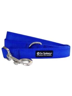 Royal Blue 5' Basic Nylon Dog Leash For Small, Medium, Or Large Dogs