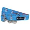 Frosty The Snowman Winter Holiday Blue Trendy 5' Dog Leash -Little Loom Store SnowmanLeashc 1