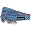 Light Blue & Red Polka Dots Bright & Cute Unique Dog Leash -Little Loom Store TurqRedPolkaDotLeashc 1
