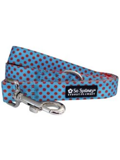 Front Page 15 Light Blue & Red Polka Dots Bright & Cute Unique Dog Leash