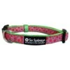 Watermelon Sugar Pink & Green Fun Fashion Dog Collar