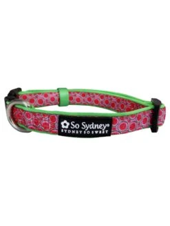 Watermelon Sugar Pink & Green Fun Fashion Dog Collar