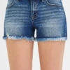 RISEN Full Size Low Rise Frayed Denim Shorts Plus Size -Little Loom Store d5fa500b3e8a402d9efc585e26763818 Max Origin